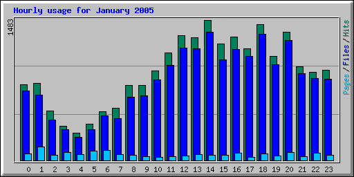 Hourly usage for January 2005